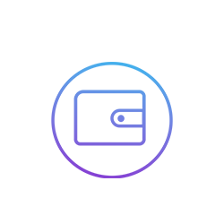 Solana Wallet Icon